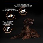 Purina Pro Plan Large Breed Adult Dog Food 14kg