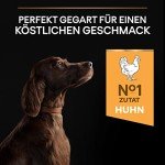 Purina Pro Plan Large Breed Adult Dog Food 14kg