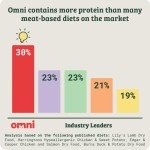 Vet-Approved Protein Rich Puppy Dry Dog Food