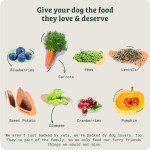 Vet-Approved Protein Rich Puppy Dry Dog Food