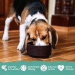 Benevo Vegan Puppy Dry Food (2 kg)