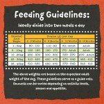 Benevo Vegan Puppy Dry Food (2 kg)