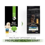 Pro Plan Large Puppy Dry Dog Food 12kg