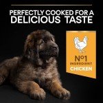 Pro Plan Large Puppy Dry Dog Food 12kg