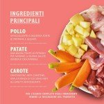 Lily's Kitchen Grain-Free Puppy Wet Dog Food