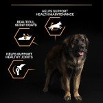 Pro Plan Large Breed Adult Dry Dog Food 14kg