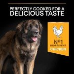 Pro Plan Large Breed Adult Dry Dog Food 14kg