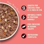 Lily's Kitchen Grain-Free Puppy Wet Dog Food