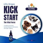 PhytoPet Herb Drops for Puppies and Seniors