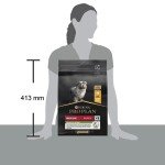 Pro Plan Chicken Dry Dog Food for Medium Puppies