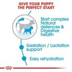 Royal Canin Mini Starter for Puppies & Moms