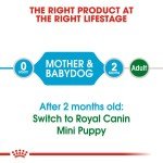 Royal Canin Mini Starter for Puppies & Moms