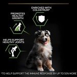 Pro Plan Chicken Dry Dog Food for Medium Puppies