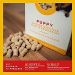 Freeze-Dried Raw Puppy Food - Chicken & Veggies