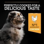 Pro Plan Chicken Dry Dog Food for Medium Puppies