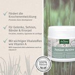 AniForte Junior Puppy Supplement for Healthy Growth