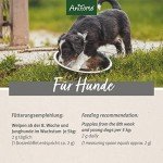 AniForte Junior Puppy Supplement for Healthy Growth
