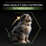 Pro Plan Chicken Dry Dog Food for Medium Puppies