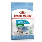 Royal Canin Mini Starter for Mother and Puppies