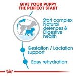 Royal Canin Mini Starter for Mother and Puppies