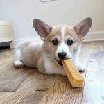 K2 Yak Chew Dog Treats - 100% Natural, Small