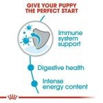 Royal Canin Mini Puppy Food 4kg Bag