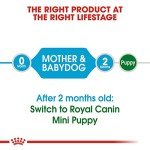 Royal Canin Mini Starter for Mother and Puppies