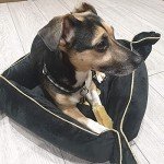 K2 Yak Chew Dog Treats - 100% Natural, Small