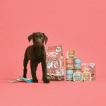 Lily’s Kitchen Grain-Free Chicken & Salmon Puppy Treats