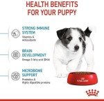 Royal Canin Mini Junior Dog Food 800g