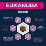 Eukanuba Large Breed Puppy Food with Lamb & Rice