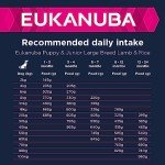 Eukanuba Large Breed Puppy Food with Lamb & Rice