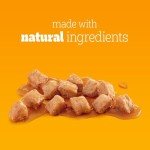 Pedigree Mixed Selection Wet Dog Food, 6-Pack