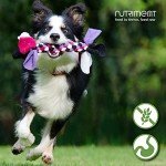 Premium Raw Food for Working Dogs - 20 Trays