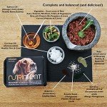 Nutriment Enhanced Raw Dog Food Starter Pack