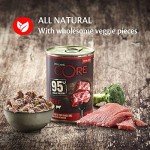 Wellness CORE Beef & Broccoli Grain-Free Dog Food