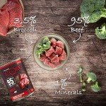 Wellness CORE Beef & Broccoli Grain-Free Dog Food