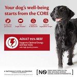 Wellness CORE Beef & Broccoli Grain-Free Dog Food