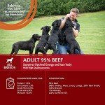 Wellness CORE Beef & Broccoli Grain-Free Dog Food