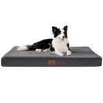 Large Orthopedic Dog Bed with Removable Cover