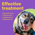Bob Martin 3-in-1 Wormer Tablets for Dogs