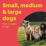 Bob Martin 3-in-1 Wormer Tablets for Dogs