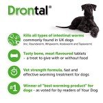 Bayer Drontal Tasty Wormer Tablet for Dogs