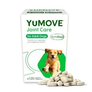 Joint Supplement for Adult Dogs | YuMOVE 120 Tablets
