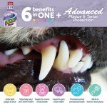 Dental Fresh Water Additive for Dogs - 17 oz