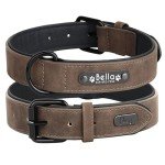 Custom Soft Leather Dog Collar with Nameplate