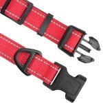 Reflective Padded Dog Collar for Medium Dogs - Red