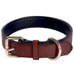 Soft Padded Genuine Leather Adjustable Dog Collar