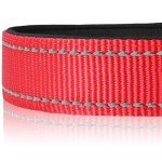 Reflective Padded Dog Collar for Medium Dogs - Red