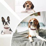 Soft Padded Genuine Leather Adjustable Dog Collar